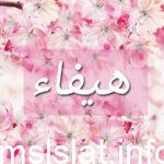 شرح معنى اسم هيفاء في معاجم اللغه العربية