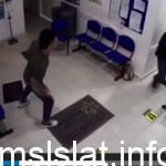 فيديو بقرة تقتحم مستشفى وتهاجم امرأة بصورة بشعة