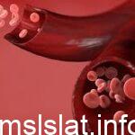 تنتج خلايا الدم الحمراء