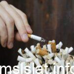 مقال عن التدخين وأضراره كامل