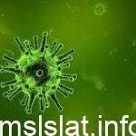 هل تنطبق نظرية الخلية على الفيروسات