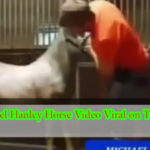 michael hanley horse video reddit ؜video