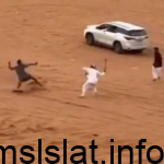 القبض على حامل “السيف” في مشاجرة أحد المتنزهات البرية بـ #الرياض