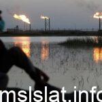 سيناتور أمريكي: ما فعلته السعودية بإغراق أسواق النفط أثناء وباء كورونا لا يغتفر ولا ينسى