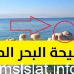 فيديو فضيحة البحر الميت