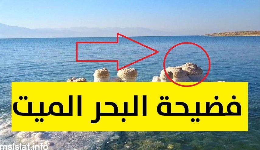 فيديو فضيحة البحر الميت